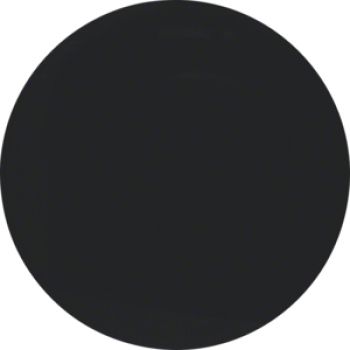 Berker 16202045, Wippe R.1/R.3 schwarz glänzend
