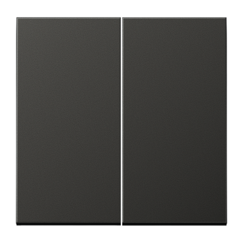Jung AL2995AN, Wippe 2fach, Aluminium lackiert, Serie LS, anthrazit (lackiertes Aluminium)