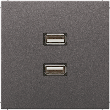 Jung MAAL1153AN, Multimedia-Anschlusssystem 2 x USB 2.0, Serie LS, anthrazit (lackiertes Aluminium)