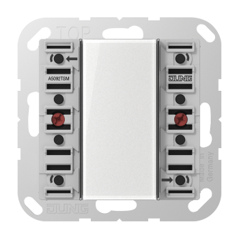 Jung A5092TSM, KNX Tastsensor-Modul Universal Universal, 2fach, F50, Serie AS/A