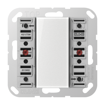 Jung A5212TSM, Tastsensor-Modul 24 V AC/DC, 20 mA 1-kanalig, 2 Schaltpunkte, Serie AS/A