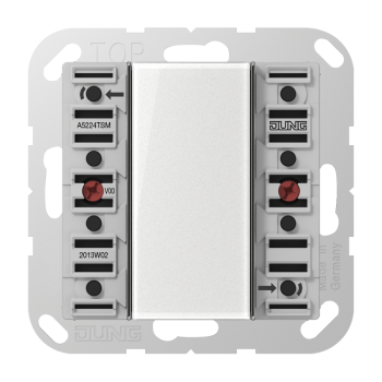 Jung A5224TSM, Tastsensor-Modul 24 V AC/DC, 20 mA 2-kanalig, 4 Schaltpunkte, Serie AS/A