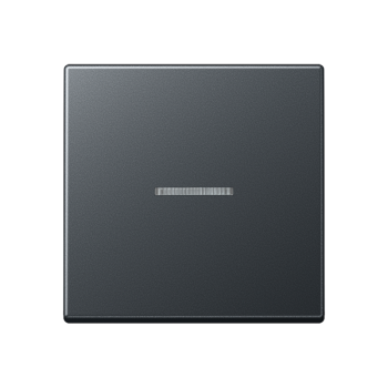 Jung A590BFKO5ANM, Wippe 1fach mit Lichtleiter, Thermoplast lackiert, Serie A, anthrazit matt