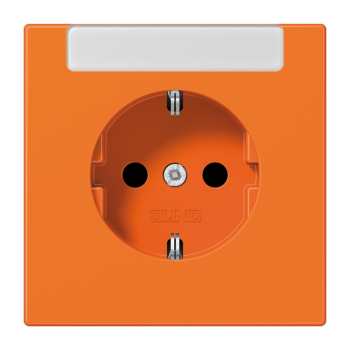 Jung LS1520INAO, SCHUKO Steckdose, 16 A 250 V ~, mit integriertem Beschriftungsfeld (sprühnebeldicht), integrierter erhöhter Berührungsschutz, SAFETY+, Thermoplast, Se