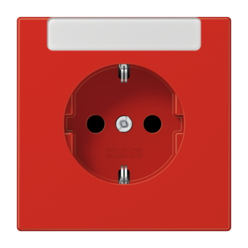 Jung LS1520INART, SCHUKO Steckdose, 16 A 250 V ~, mit integriertem Beschriftungsfeld (sprühnebeldicht), integrierter erhöhter Berührungsschutz, SAFETY+, Thermoplast, Se