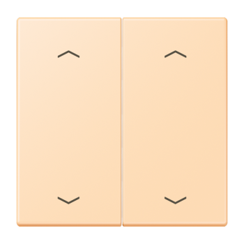 Jung LC102P223, Wippe, mit Pfeilsymbolen für Taster 2fach, Serie LS, ocre