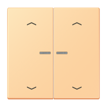 Jung LC102KO5P258, Wippe mit Lichtleiter, mit Pfeilsymbolen für Taster 2fach, Serie LS, terre sienne claire 59