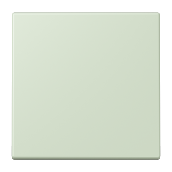 Jung ENOLC990218, EnOcean Funk-Wandsender 2-kanalig, Serie LS, vert anglâis pale