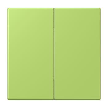 Jung BLELC995221, Bluetooth® Low Energy Funk-Wandsender 4-kanalig, Serie LS, vert clair