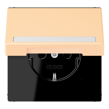 Jung LC1520BFNAKL223, SCHUKO Steckdose, 16 A 250 V ~, mit Schriftfeld, integrierter erhöhter Berührungsschutz, SAFETY+, Klappdeckel, Thermoplast lackiert, Serie LS, ocre