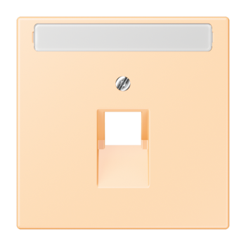 Jung LC969-1NAUA223, Abdeckung für IAE/UAE-Anschlussdosen 1 x 8-polig, mit Schriftfeld, Thermoplast lackiert, Serie LS, ocre