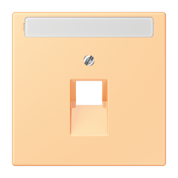 Jung LC969-1NAUA258, Abdeckung für IAE/UAE-Anschlussdosen 1 x 8-polig, mit Schriftfeld, Thermoplast lackiert, Serie LS, terre sienne claire 59