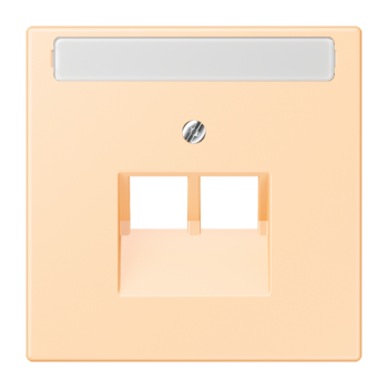 Jung LC969-2NAUA223, Abdeckung für IAE/UAE-Anschlussdosen 2 x 8-polig, mit Schriftfeld, Thermoplast lackiert, Serie LS, ocre