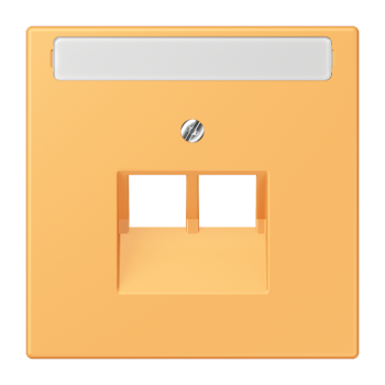 Jung LC969-2NAUA254, Abdeckung für IAE/UAE-Anschlussdosen 2 x 8-polig, mit Schriftfeld, Thermoplast lackiert, Serie LS, ocre jaune clair