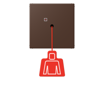 Jung NRSLC0834ZT239, Notrufsystem Zugtaster, Serie LS, terre d'ombre brûlée 31