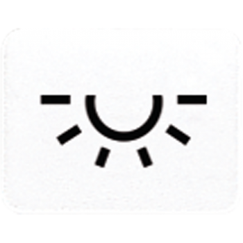 Jung 33LWW, Kalotte mit Symbol, lichtundurchlässig, alpinweiß, Symbol Licht