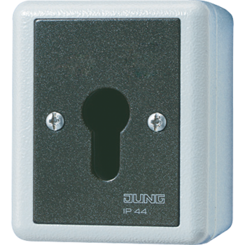 Jung 806.28G, Schlüsselschalter, Universal Aus-Wechselschalter, 2-pol., 16 AX 250 V ~, IP 44, WG 800