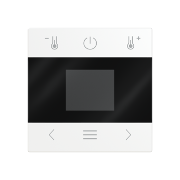 Busch-Jaeger mit Display Bluetooth Zentralscheibe (2CKA006430A0412)