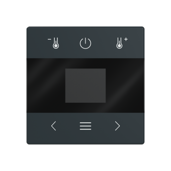 Busch-Jaeger mit Display Bluetooth Zentralscheibe (2CKA006430A0417)
