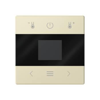 Busch-Jaeger mit Display Bluetooth Zentralscheibe (2CKA006430A0418)