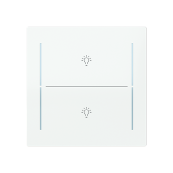 Busch Jaeger LFBT/A.2.70.11-44G, Abdeckung als Taster 2-fach mit Symbol Beleuchtung"(2CKA006199A0381)"