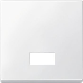 Merten 433819,Wippe mit rechteckigem Symbolfenster, polarweiß, System M