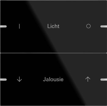 Gira 503205,Wippenset 2f indiv. Tastsens.4 TS4 G Schwarz
