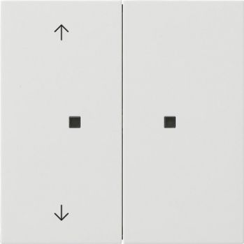Gira 5175112,Taster Wippe 2f unbedruckt/Pfeile OneKNX Flächenschalter Reinweiß