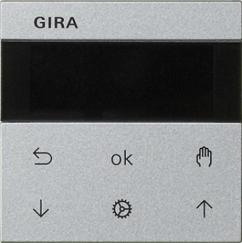 Gira 536626,S3000 Jal.- + Schaltuhr Display System 55 F Alu