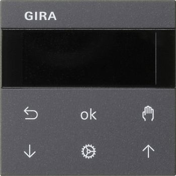 Gira 536628,S3000 Jal.- + Schaltuhr Display System 55 Anthrazit