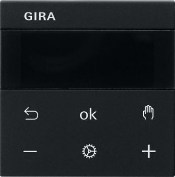 Gira 5393005,S3000 RTR Display System 55 Schwarz m