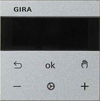 Gira 539326,S3000 RTR Display System 55 F Alu