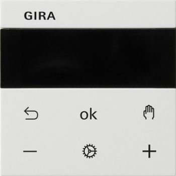 Gira 539327,S3000 RTR Display System 55 Reinweiß m