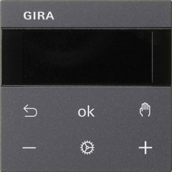 Gira 539328,S3000 RTR Display System 55 Anthrazit