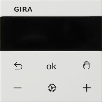 Gira 539403,S3000 RTR BT System 55 Reinweiß