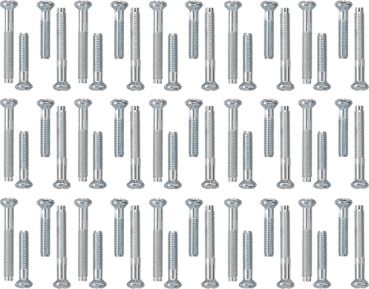 Gira 818200,Schraubenset Koaxial-Steckd. 30x 2 Stck. System 55