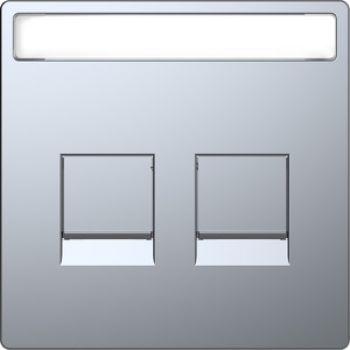 Merten MEG4564-6036,Zentralplatte für Modular Jack 2fach mit Schriftfeld und Staubschutzschieber, Edelstahl, System Design