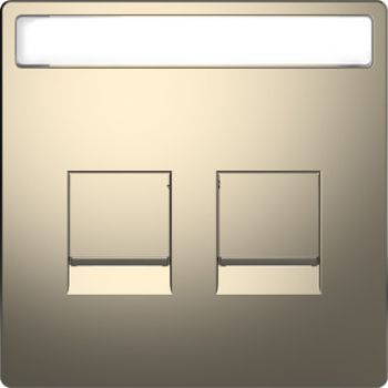 Merten MEG4564-6050,Zentralplatte für Modular Jack 2fach mit Schriftfeld und Staubschutzschieber, Nickelmetallic, System Design