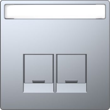 Merten MEG4574-6036,Zentralplatte für Schneider Electric-Connector 2fach, Edelstahl, System Design