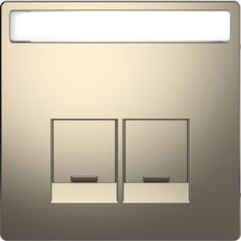 Merten MEG4574-6050,Zentralplatte für Schneider Electric-Connector 2fach, Nickelmetallic, System Design