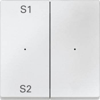Merten MEG5226-0419,Wippen für Taster-Modul 2fach (Szene1/2, blank), polarweiß, System M