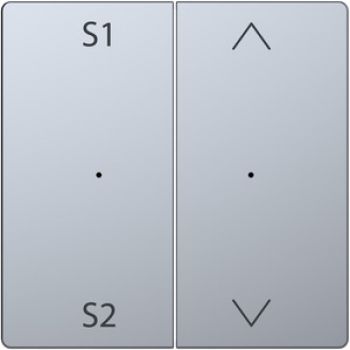 Merten MEG5227-6036,Wippen für Taster-Modul 2fach (Szene1/2, Auf/Ab), Edelstahl, System Design