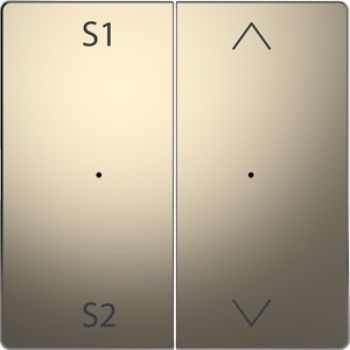 Merten MEG5227-6050,Wippen für Taster-Modul 2fach (Szene1/2, Auf/Ab), Nickelmetallic, System Design