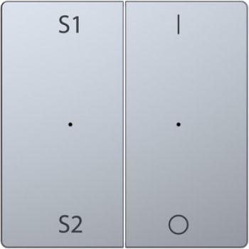 Merten MEG5228-6036,Wippen für Taster-Modul 2fach (Szene1/2, 1/0), Edelstahl, System Design