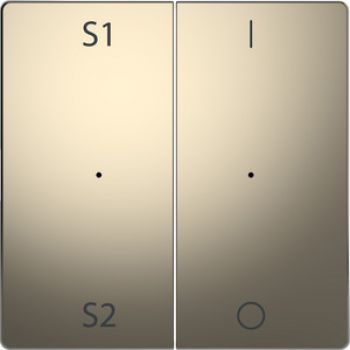 Merten MEG5228-6050,Wippen für Taster-Modul 2fach (Szene1/2, 1/0), Nickelmetallic, System Design