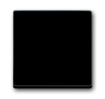 Busch Jaeger 1786-81 Carat schwarz glänzend anthrazit Wippe ,2CKA001751A2926