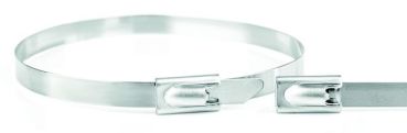PROTEC.class PEKB102079 1020x7,9mm Edelstahl 304 Kabelbinder (05106667)