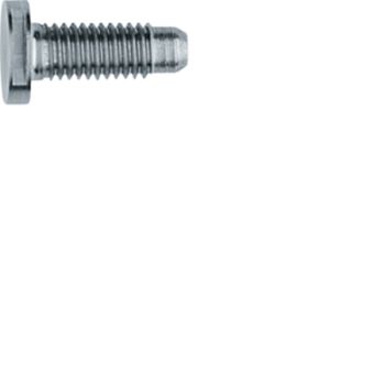 ELCOM Spezial ZY M5x12 Edelstahl Schraube(REH121Y)