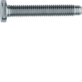 ELCOM Spezial ZY M5x42 PVD Edelstahl Schraube(REH126Y)