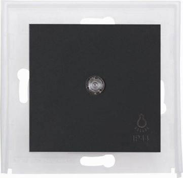 Heinrich HK07 IP44Wippe mL. Licht anth Flächenwippe (493946009)